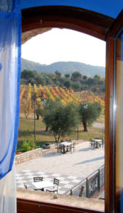 Vista sulla Valle di Faedo - Villa Alessi